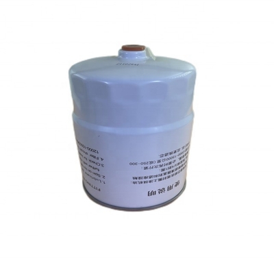 OE Nr. 1117030-EE54R Kraftstofffilter CLX-593 für 700P Land 6 FTR Land 6 in weiß